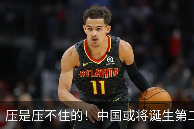 压是压不住的！中国或将诞生第二个华为