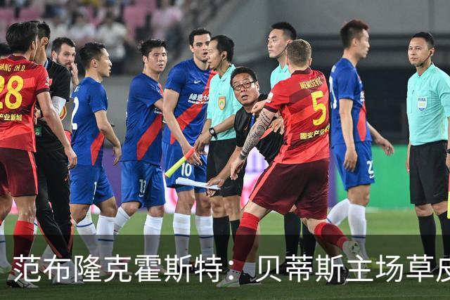 范布隆克霍斯特：贝蒂斯主场草皮不理想