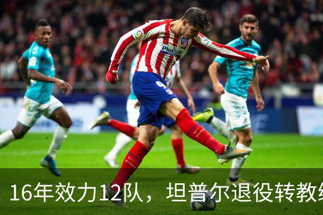 16年效力12队，坦普尔退役转教练：每天都在学新东西
